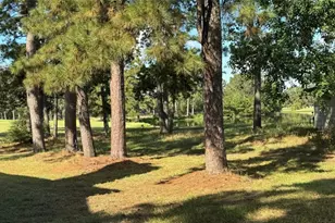 20313 Sunny Shores Dr, Humble, TX 77346 - Photo 42