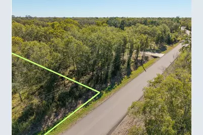 0 Patricia Lane Cr 377, Alvin, TX 77511 - Photo 2