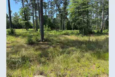 006 Private Road 6028 Tract 1-6, Brookeland, TX 75931 - Photo 10