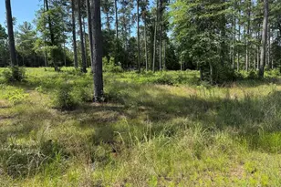 006 Private Road 6028 Tract 1-6, Brookeland, TX 75931 - Photo 10