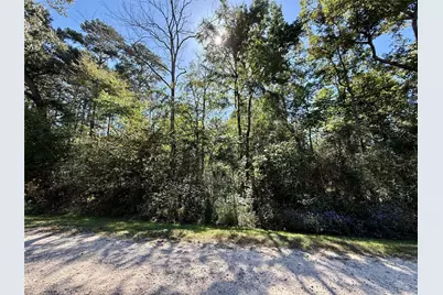 N/A Lot 5 Golden Leaf, Livingston, TX 77351 - Photo 2