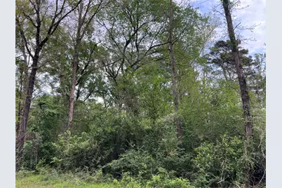 0 White Oak, Conroe, TX 77303 - Photo 4