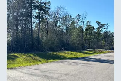 109 Noble Drive, New Waverly, TX 77358 - Photo 6