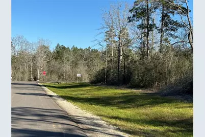 109 Noble Drive, New Waverly, TX 77358 - Photo 8