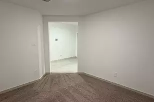 30018 Reagans Rnch Dr, Fulshear, TX 77441 - Photo 20