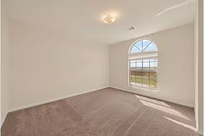 29 Palmero Way, Manvel, TX 77578 - Photo 24