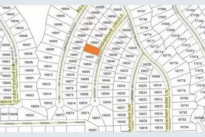 16862 Big Brave Circle, Waller, TX 77445 - Photo 4