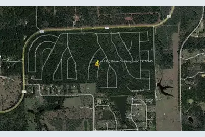 16862 Big Brave Circle, Waller, TX 77445 - Photo 6