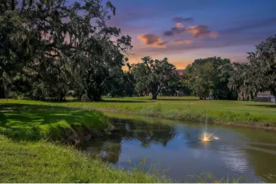 155 Horse Shoe Trail, Angleton, TX 77515 - Photo 46