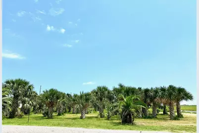 1716 Garth Avenue, Gilchrist, TX 77617 - Photo 8