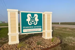 5411 Bluewater Hwy, Freeport, TX 77541 - Photo 4