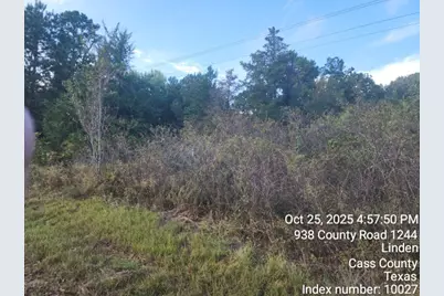 938 County Road 1244 Road, Linden, TX 75563 - Photo 4