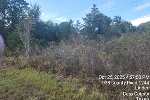 938 County Road 1244 Rd, Linden, TX 75563 - Photo 4