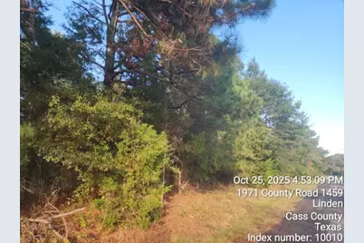 938 County Road 1244 Road, Linden, TX 75563 - Photo 18