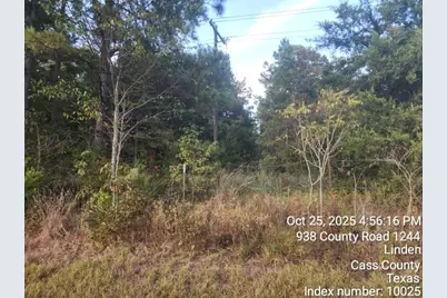 938 County Road 1244 Road, Linden, TX 75563 - Photo 6