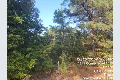 938 County Road 1244 Road, Linden, TX 75563 - Photo 20