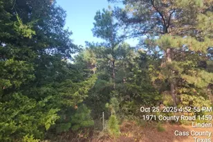 938 County Road 1244 Rd, Linden, TX 75563 - Photo 20