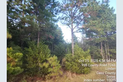 938 County Road 1244 Road, Linden, TX 75563 - Photo 10
