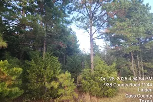 938 County Road 1244 Rd, Linden, TX 75563 - Photo 10