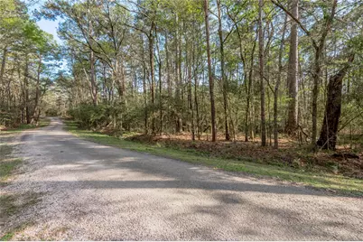 00 Holly Lane, Trinity, TX 75862 - Photo 8