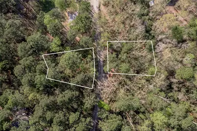 00 Holly Lane, Trinity, TX 75862 - Photo 2