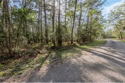 00 Holly Lane, Trinity, TX 75862 - Photo 4