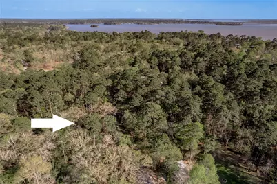 00 Holly Lane, Trinity, TX 75862 - Photo 1