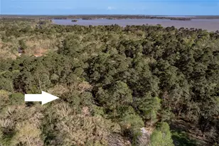 00 Holly Ln, Trinity, TX 75862 - Photo 1