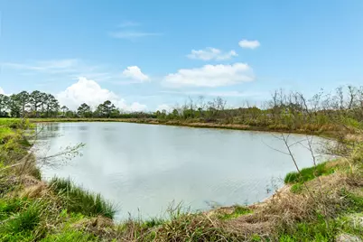 31 County Road 533, Angleton, TX 77515 - Photo 12