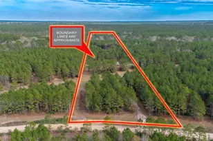 2265 Kickapoo Rd, Groveton, TX 75845 - Photo 2