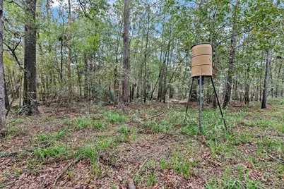 271 Shoreline Drive, Huntsville, TX 77320 - Photo 22