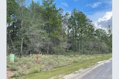 15829 Ridge Rock Road, Willis, TX 77378 - Photo 4