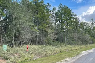 15829 Ridge Rock Rd, Willis, TX 77378 - Photo 4