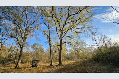 24995 Howser Drive, New Caney, TX 77357 - Photo 26