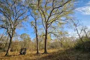 24995 Howser Dr, New Caney, TX 77357 - Photo 26