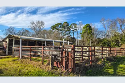 24995 Howser Drive, New Caney, TX 77357 - Photo 6