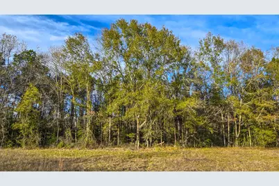 24995 Howser Drive, New Caney, TX 77357 - Photo 22