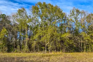 24995 Howser Dr, New Caney, TX 77357 - Photo 22