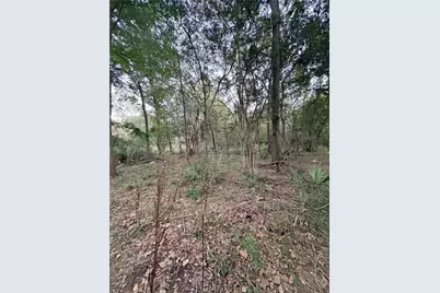 610 South 10th Street, Conroe, TX 77301 - Photo 4