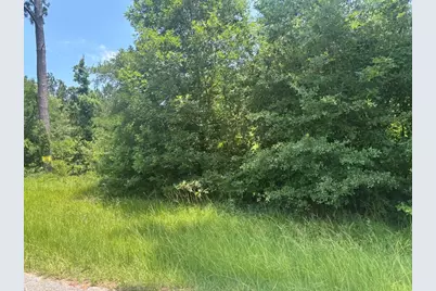 Tbd Sam Houston Loop, Point Blank, TX 77364 - Photo 2
