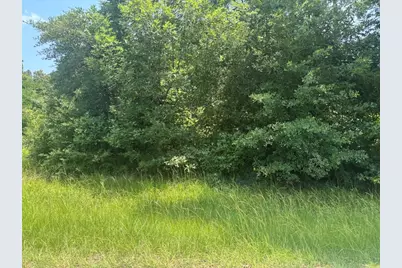 Tbd Sam Houston Loop, Point Blank, TX 77364 - Photo 4