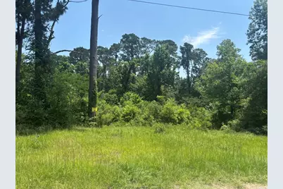 Tbd Sam Houston Loop, Point Blank, TX 77364 - Photo 1