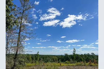 9 Fm 350, Livingston, TX 77351 - Photo 18