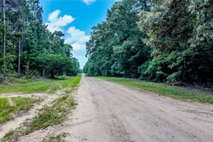 127 Buckthorn Acres Dr, Huntsville, TX 77340 - Photo 2