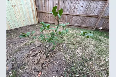 1197 Briarmeadow Drive, Beaumont, TX 77706 - Photo 26