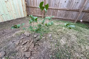 1197 Briarmeadow Dr, Beaumont, TX 77706 - Photo 26