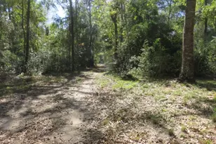 24722 Country Oaks, Montgomery, TX 77316 - Photo 34