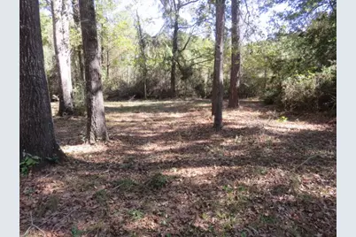 24722 Country Oaks, Montgomery, TX 77316 - Photo 38