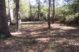 24722 Country Oaks, Montgomery, TX 77316 - Photo 38