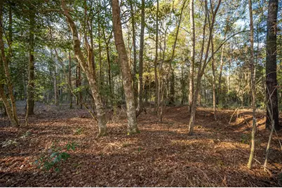 220 County Road 2300, Woodville, TX 75979 - Photo 4